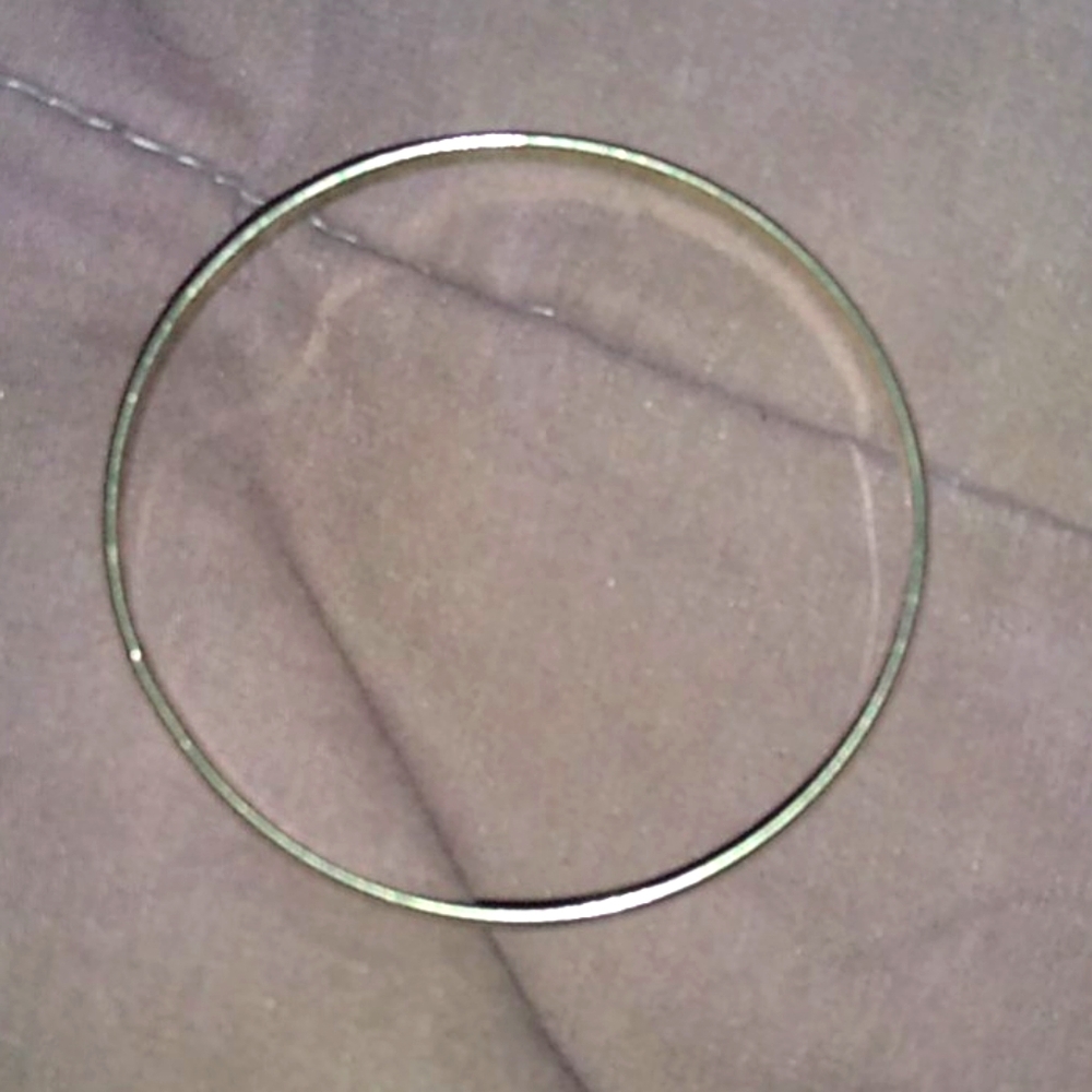 Stainless steel bangle